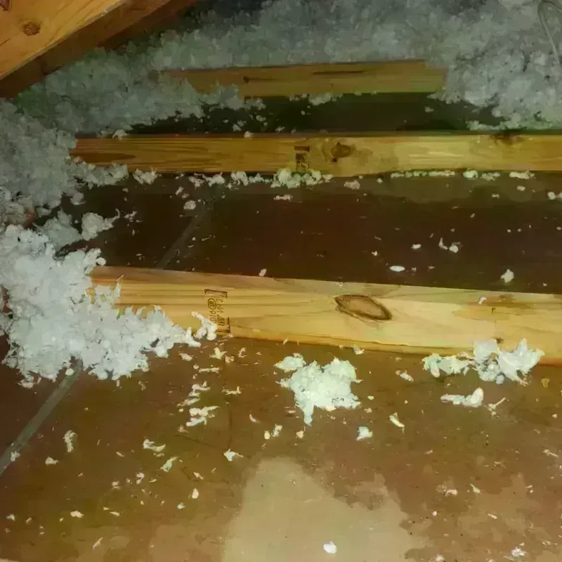 Attic Water Damage in Churchill County, NV