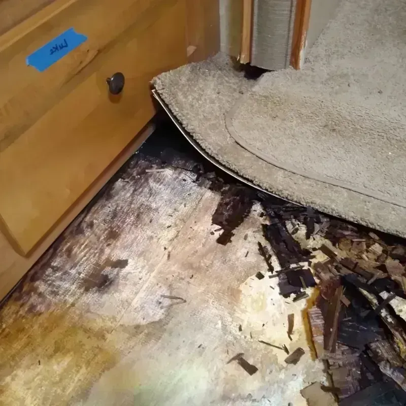 Wood Floor Water Damage in Churchill County, NV